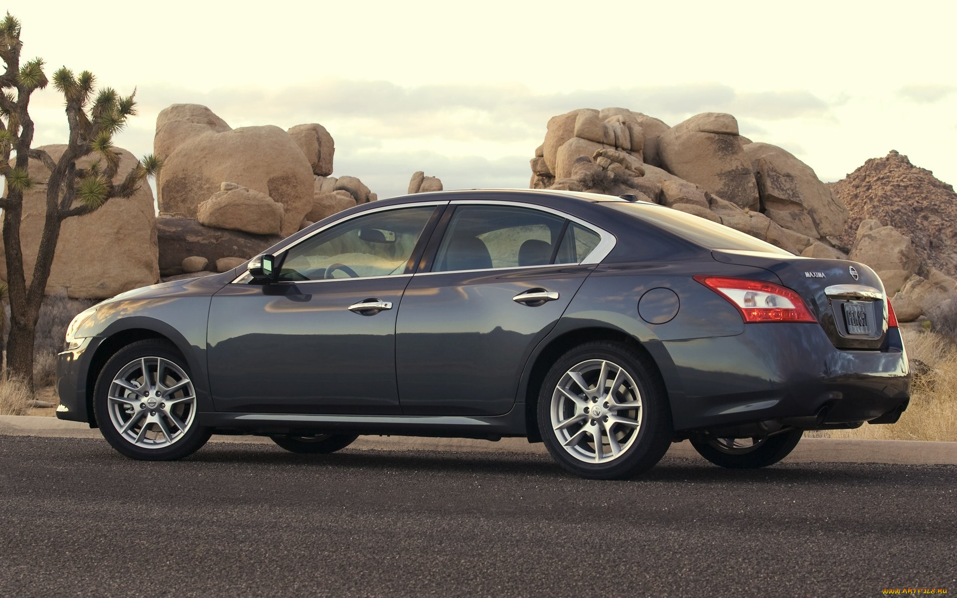 nissan, maxima, , datsun